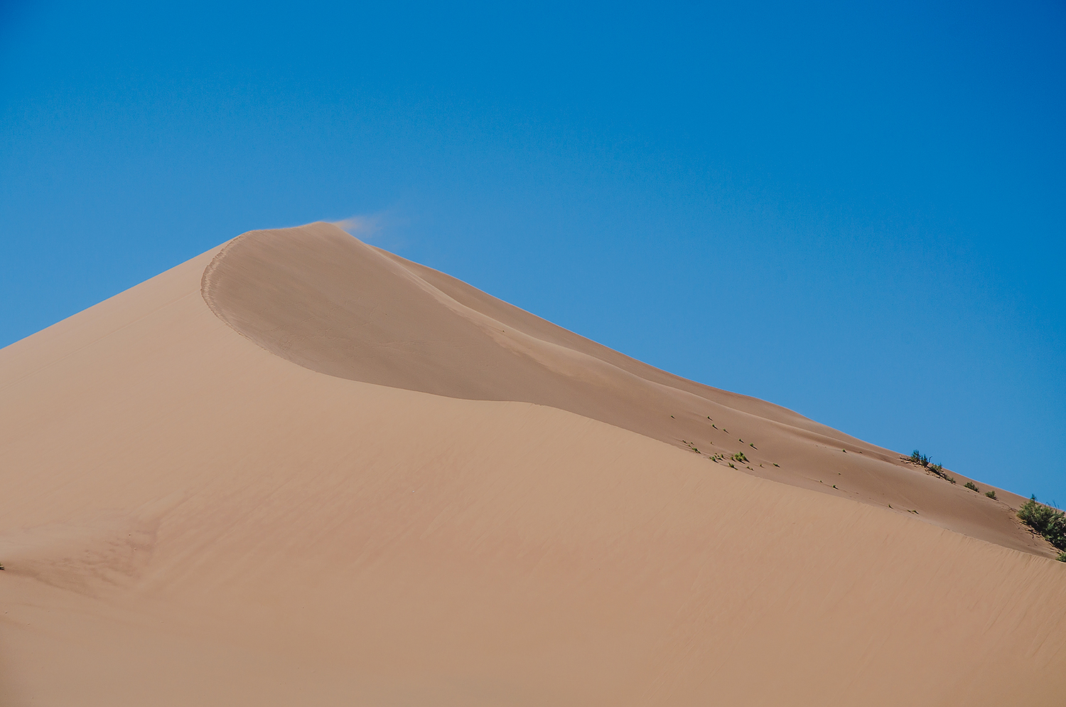 <span style="font-weight: bold;">Altyn Emel National Park </span>2 days tour